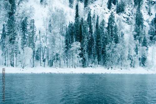 Dark snow forest near winter river. Lake shore is covered with ice and frost. Light frosty haze over water from cold.