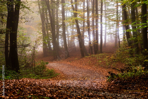 A journey through a beautiful autumn idyll