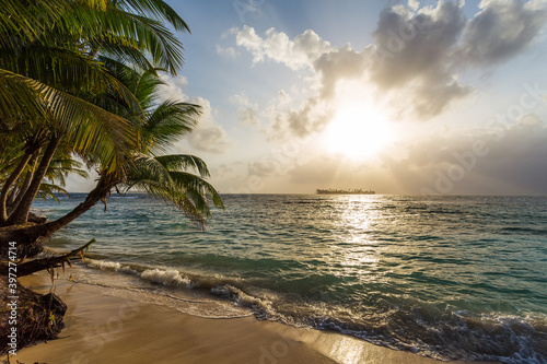 Fototapeta Naklejka Na Ścianę i Meble -  Palm trees on a beautiful beach
