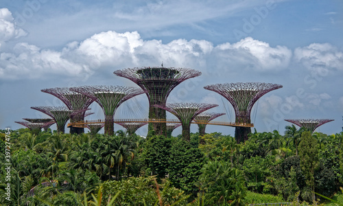  View of Gardens by the Bay from Dragonfly Bridge © aleks