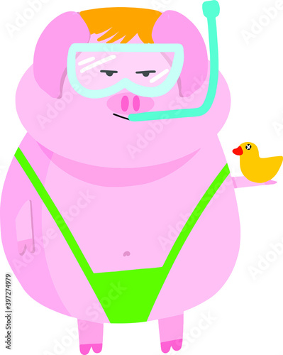 pig in a swimsuit on a white background and in a mask with a snorkel for swimming.