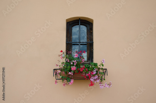 Window in Italian style on clear wall background