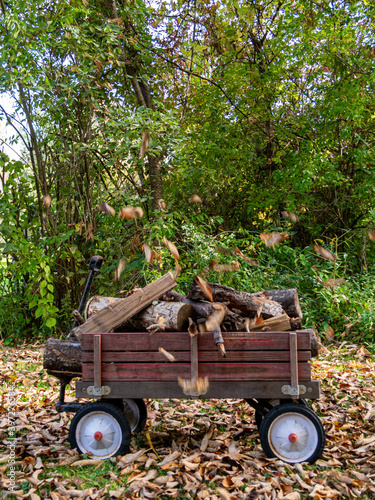 vintage wagon with firewood