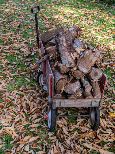 wagon of logs