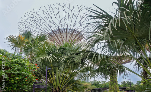   Gardens by the Bay. Visitors walk in the park © aleks