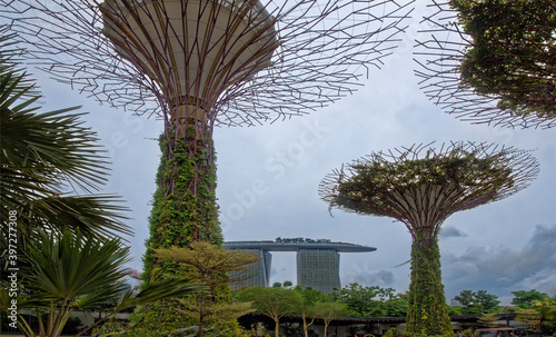  Gardens by the Bay. Visitors walk in the park