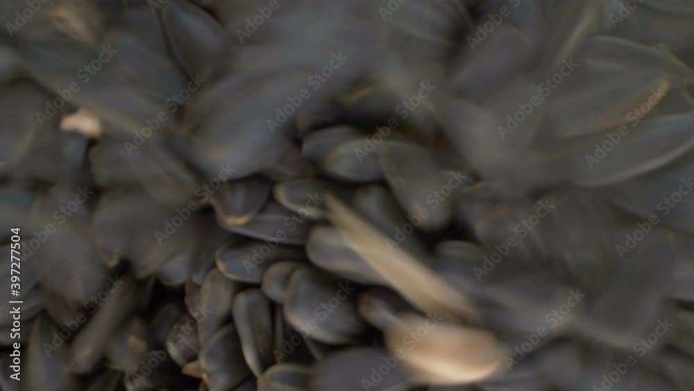 extremely close-up, detailed. black sunflower seeds fall into a pile. extremely close-up, detailed. black sunflower seeds fall into a pile.