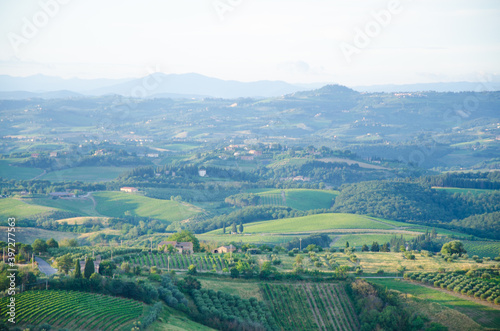 Impressive spring landscape,view with cypresses and vineyards ,Tuscany,Italy