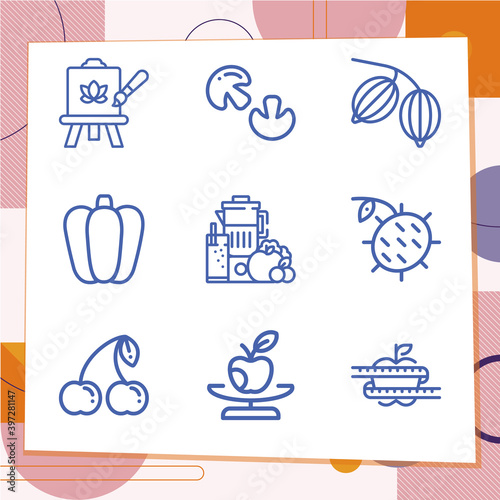 Simple set of 9 icons related to regimen