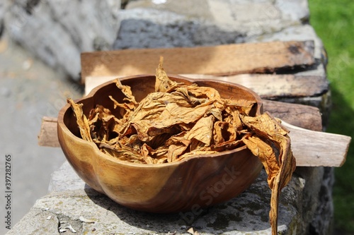 dried tobacco leaves in wooden bowl outdoors