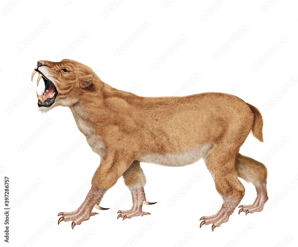 Obraz premium lion, animal, lionne, faune, isolé, sauvage, créature, lion, fauve, animale imaginaire, gris, mauve, monstre, canine, sauvage, création, dangereux, avec corne, bouche ouvert, blanc, beige, bleu , gr