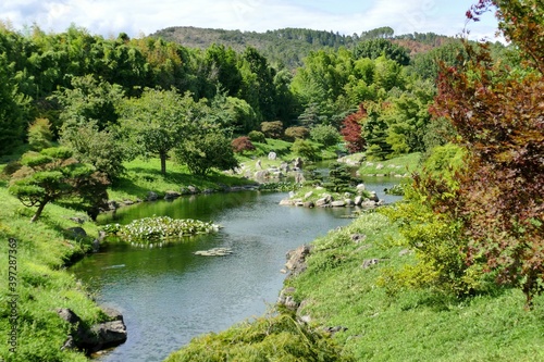 Jardin exotique dans le parc de la bambouseraie d’Anduze