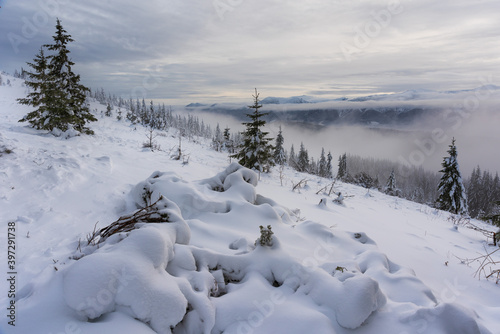 Winter in the Ukrainian Carpathians with beautiful frozen trees and snow