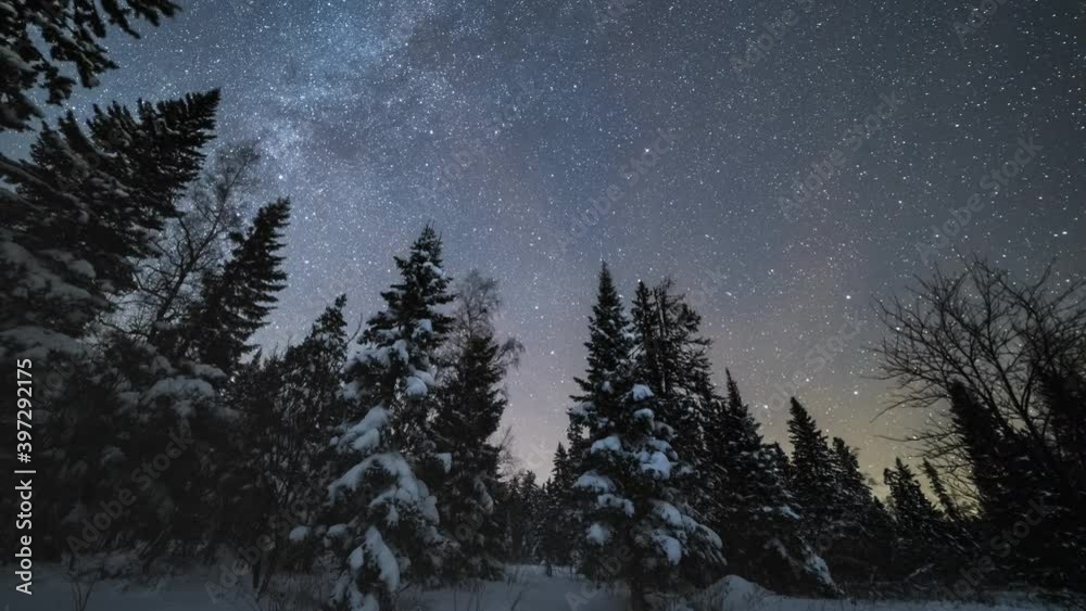 Milky Way over Coniferous Trees at Winter Night. Taganay National Park, Southern Urals, Russia. Time Lapse