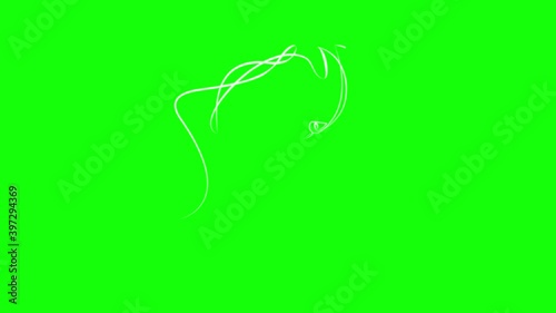 Woman and cat in one line. White line animation on green background photo