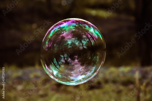  The soap bubble reflects everything around
