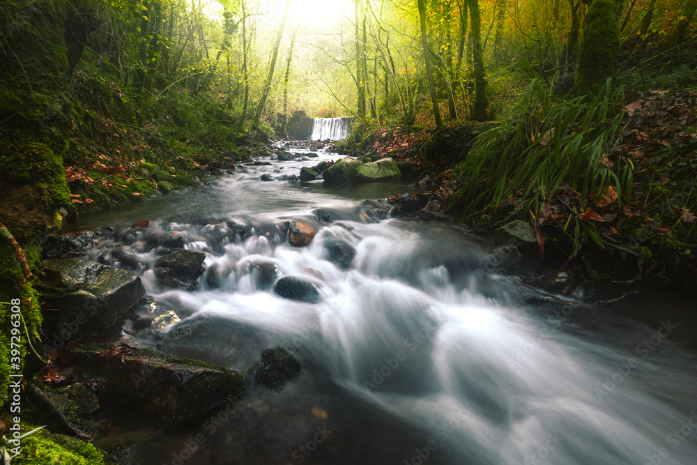 Obraz premium River through the forest at the Aiako Harriak Natural Park; Basque Country.