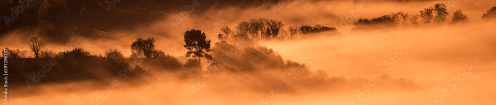 Foggy sunrise landscape in the mountains with trees. Beautiful panorama with magical atmosphere and warm colors. Orange mist at sunrise or sunset on a hill.
