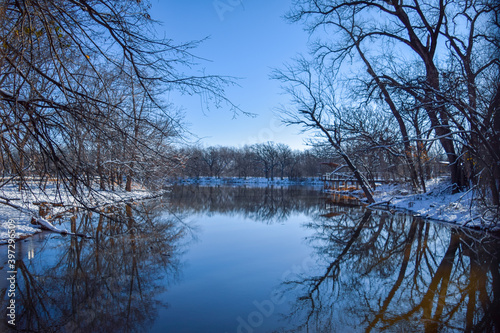 trees and river in the snow