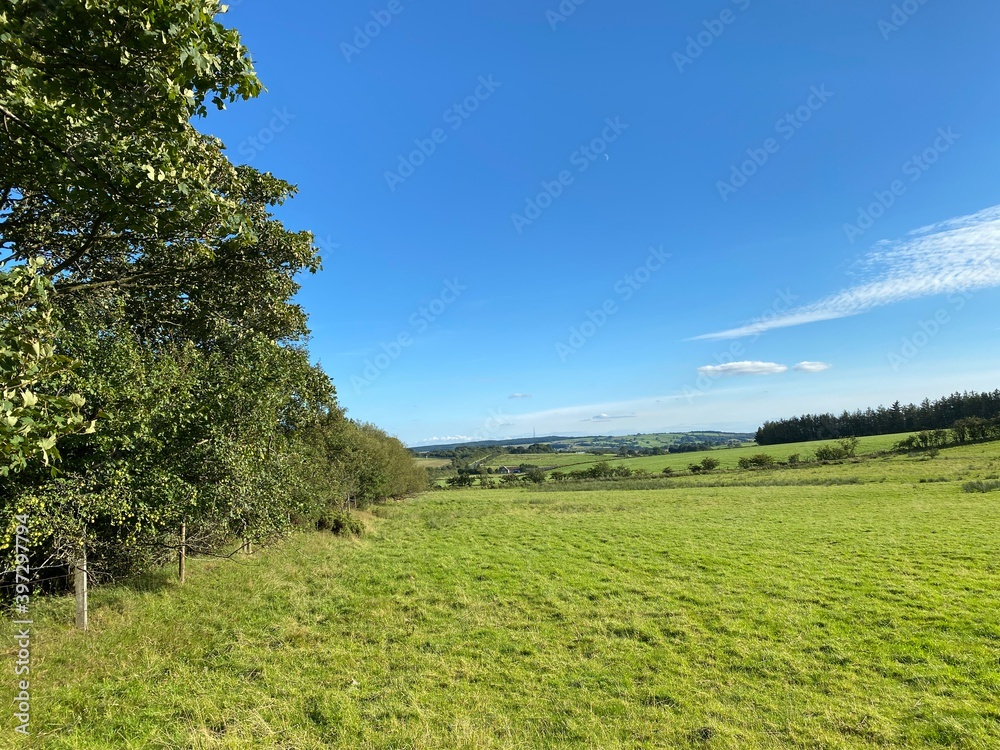 Obraz premium Landscape view, from Mount Bark Lane, with large fields, meadows, and distant hills, set against a blue sky in, Darley, Harrogate, UK