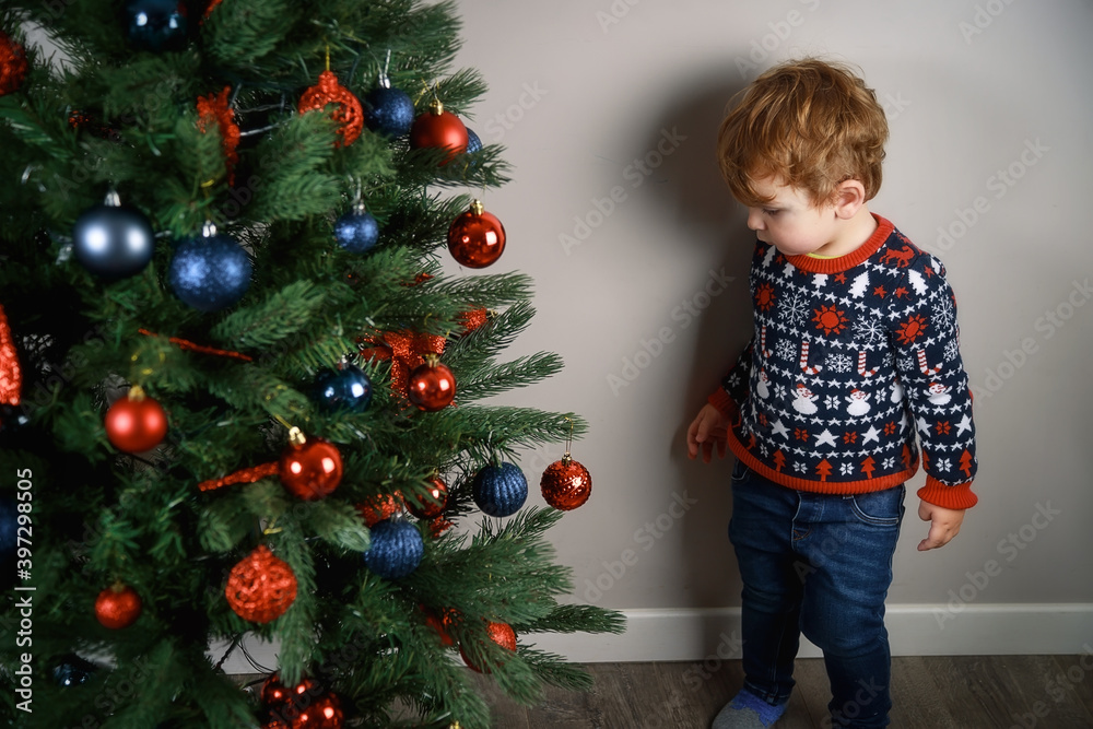 A child with a Christmas tree. A little blond boy reaches for the toy on a beautiful green Christmas tree. Christmas photo A child with a Christmas tree. A little blond boy reaches for the toy on a beautiful green Christmas tree. Christmas photo