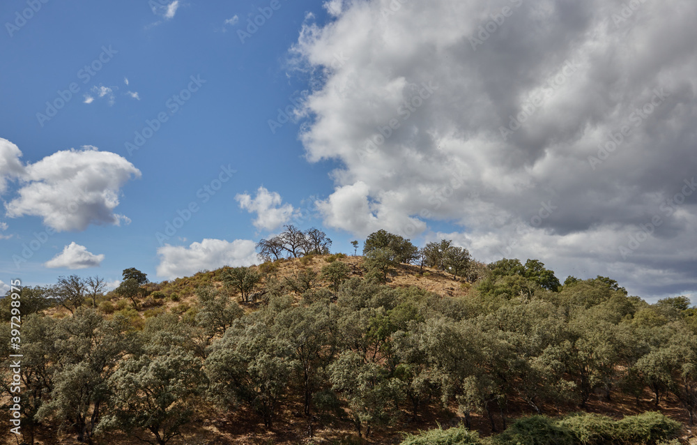 paisaje de montaña con arboles, cielo azul y nubes paisaje de montaña con arboles, cielo azul y nubes