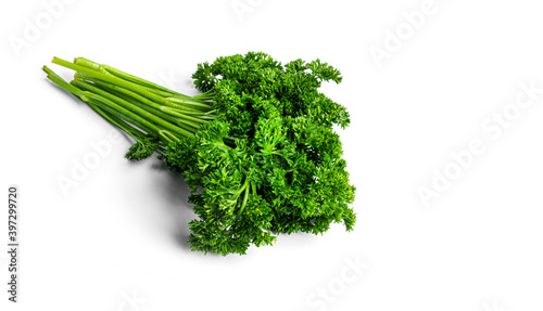 Greenery. Sprigs of curled parsley on a white background. Macro photo. High quality photo