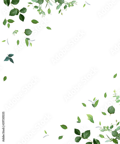 Herbal minimalist vector frame