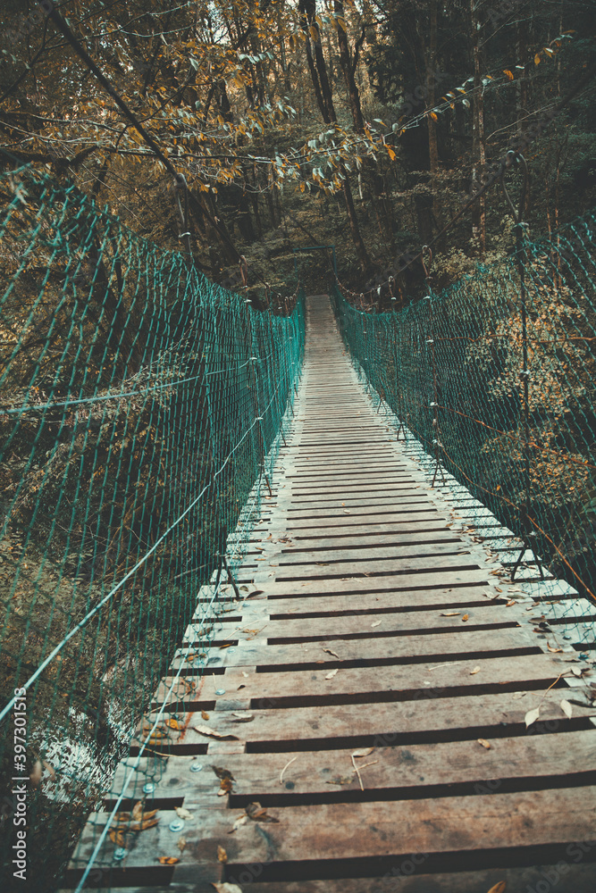 Fototapeta premium bridge