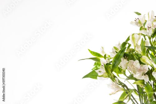 White flowers and green leaves on the right side in front of a white background with lots op  copy space