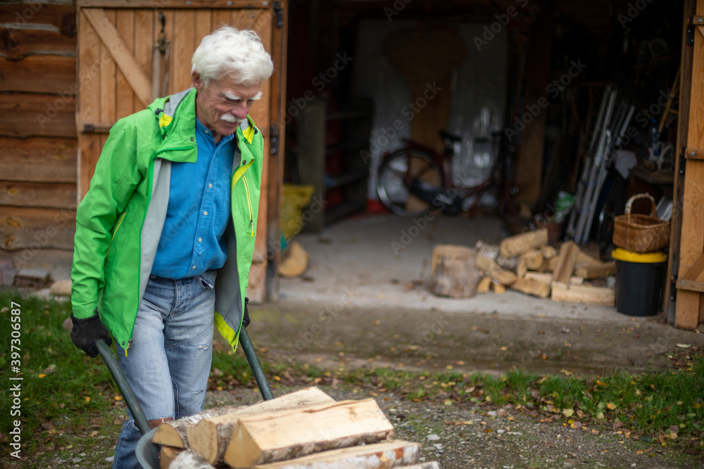 Senior man pushing a wheelbarrow full of the heavy pieces of firewood. Senior man pushing a wheelbarrow full of the heavy pieces of firewood.