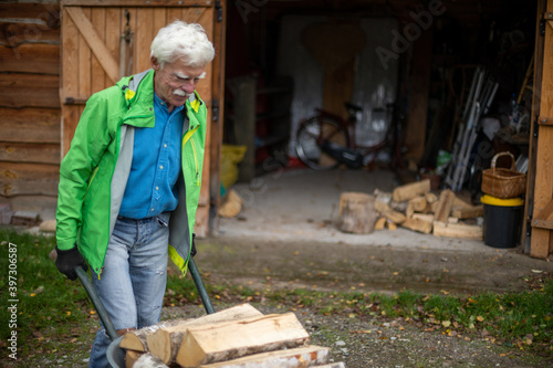 Senior man pushing a wheelbarrow full of the heavy pieces of firewood.