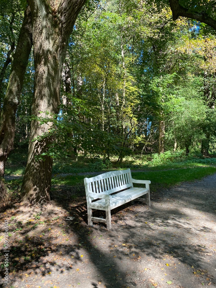 bench in the park bench in the park