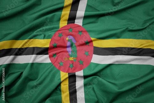 waving colorful national flag of dominica. photo