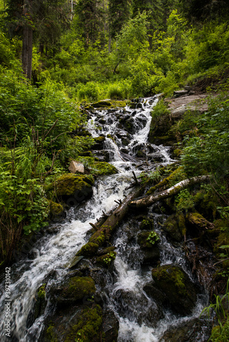 the waterfall noisily rushes down from the high mountains of Altai