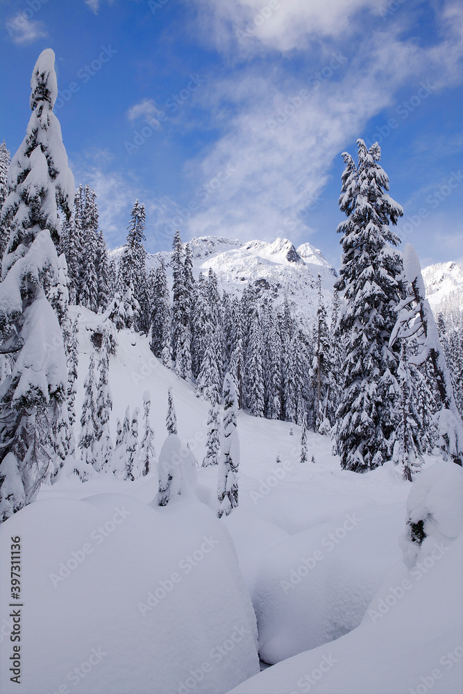 Vertical view of winter wonderland scene of snow-covered evergreen trees and mountain peak in Snoqualmie Pass, WA
