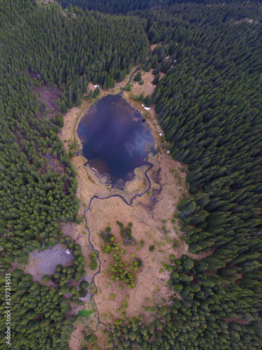 Drone flying above a glacial lake located in a national reservation. Latorita River flowing through the wild spruce forests fuels the lake. photo