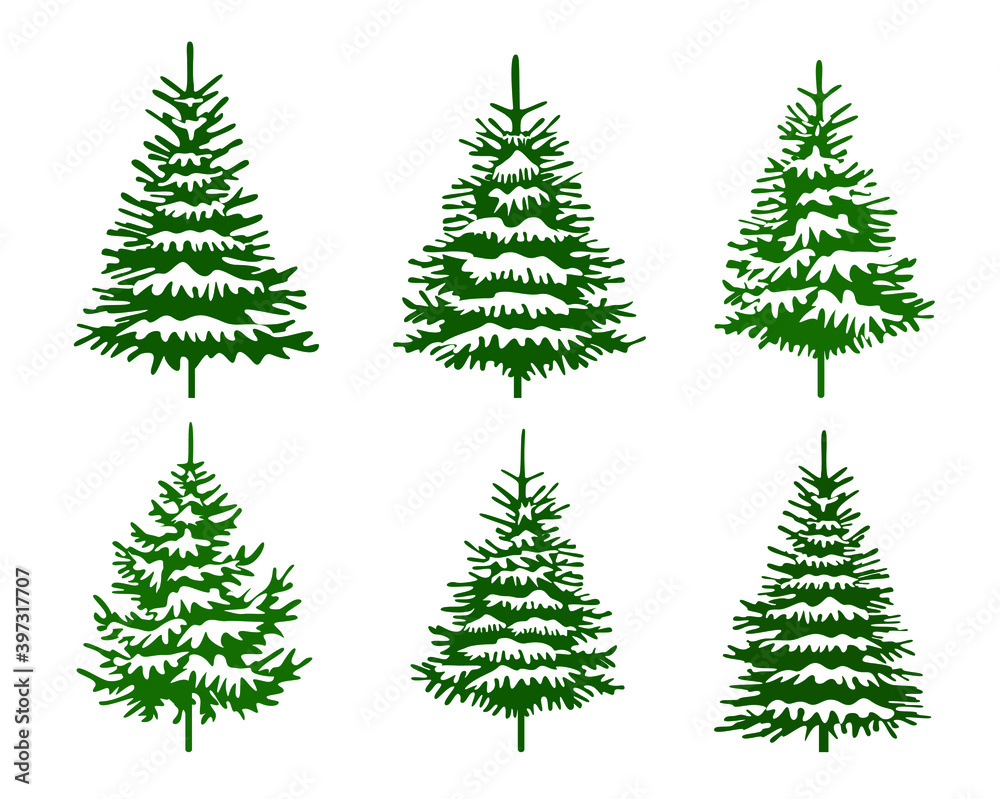 Set Green Trees with Snow. Winter illustration. Vector background.