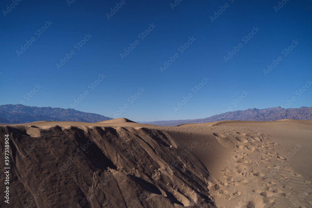 Fototapeta premium sand dunes in the desert