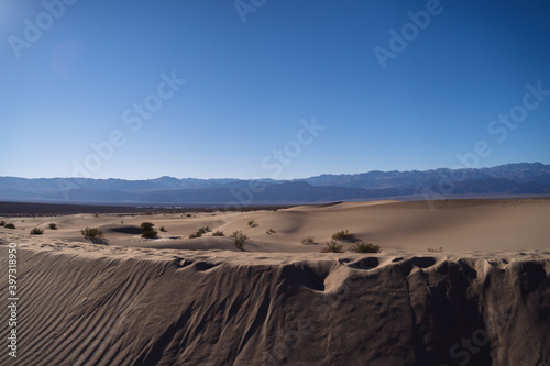 sand dunes in the desert