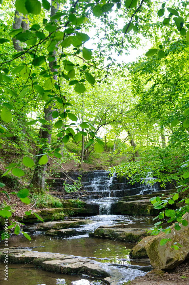 Wald mit Bachlauf, Verträumter, Bachlauf im Wald Wald mit Bachlauf, Verträumter, Bachlauf im Wald