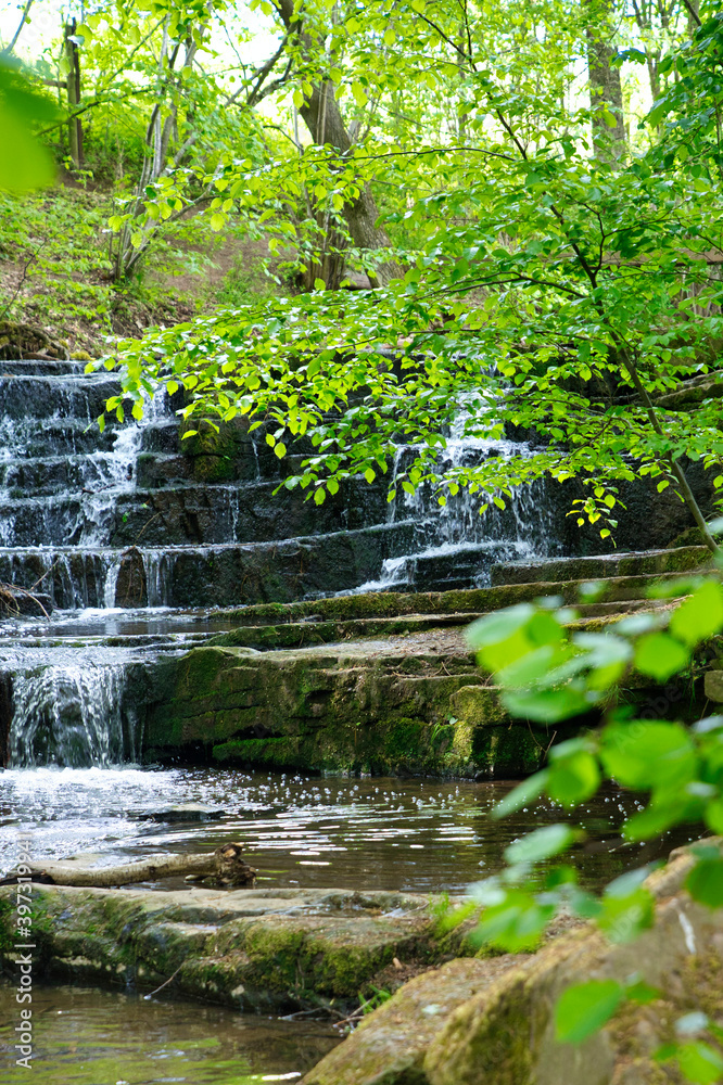 Wald mit Bachlauf, Verträumter, Bachlauf im Wald Wald mit Bachlauf, Verträumter, Bachlauf im Wald
