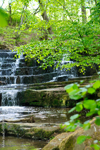 Wald mit Bachlauf  Vertr  umter  Bachlauf im Wald 