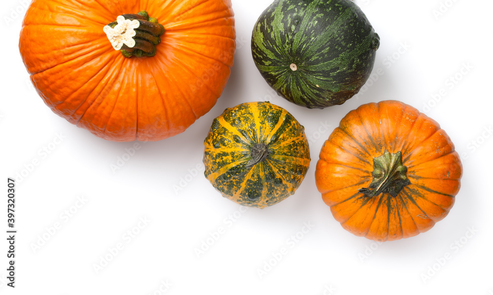 Fotografie Fresh Autumn Pumpkins Isolated On White Background