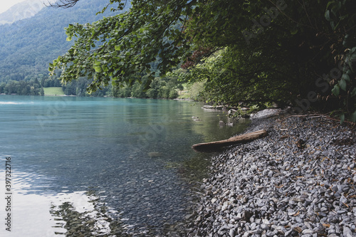 Brienzersee Lake