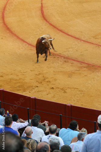 Bullfight in the Plaza de la Maestranza, Seville 