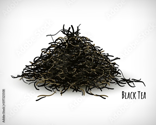 Hand drawn dried black tea. Culinary theme. Lettering Black Tea. Realistic dried tea herbs design on vignette background. Green tea concept. Vector illustration.