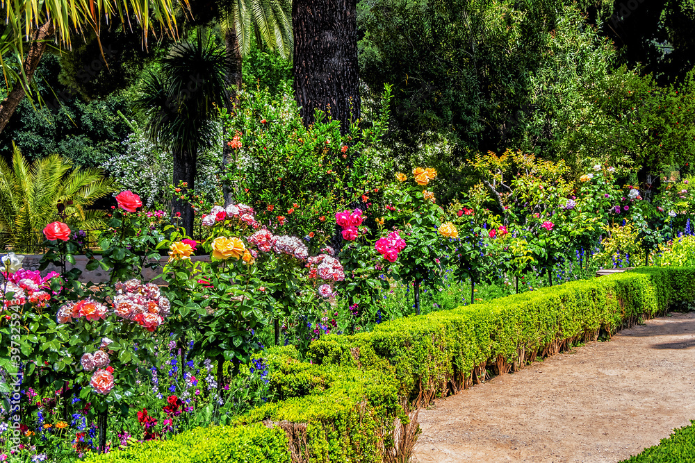 Obraz premium Beautiful garden in Granada Alhambra. Granada, Andalusia, Spain.