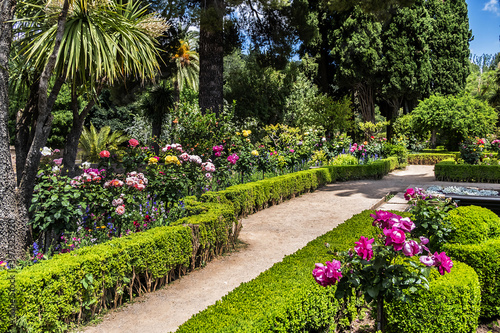 Fototapeta Naklejka Na Ścianę i Meble -  Beautiful garden in Granada Alhambra. Granada, Andalusia, Spain.