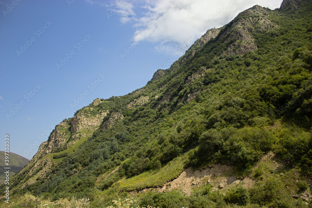 Beautiful nature, tourism, summer landscape, green grass and trees, mountains Beautiful nature, tourism, summer landscape, green grass and trees, mountains
